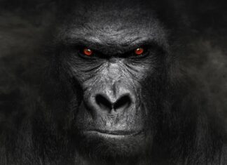 5,6 трильйона доларів у сліпій зоні: чому американська охорона здоров’я не бачить своєї головної проблеми