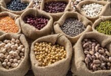 Power Up Your Plate: 6 Bean Varieties for a Healthier You
