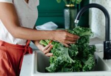 Покращення засвоєння заліза: як вітамін С відіграє ключову роль