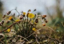 Выгорание Супруга(-и) с СДВГ: Распознавание Истощения и Возвращение к Балансу