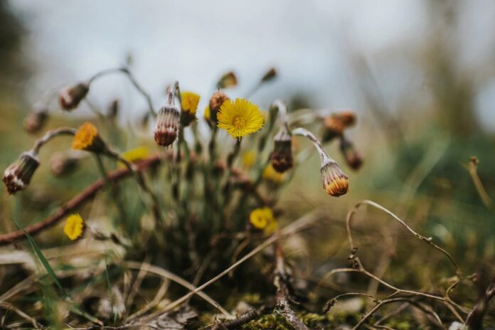 65e85e2d-eaf1-4246-a168-b3881a68eb30