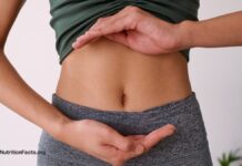 Dapatkah Usus Vegan Memperbaiki Kesehatan Anda? Ilmu Transplantasi Tinja dan TMAO