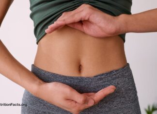 Чи може веганський кишечник покращити ваше здоров’я? Наука про фекальні трансплантації та ТМАО