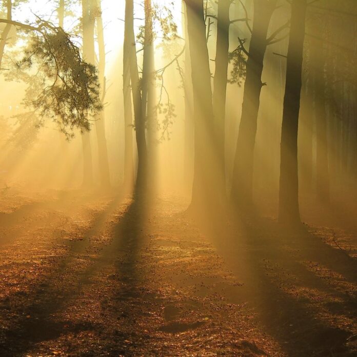 1395044f-e825-40cf-9ab3-40f3d123a417