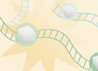 Стабілізація рівня цукру в крові: як вийти з порочного кола