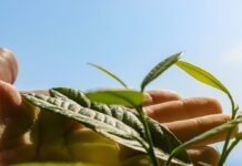 8 Ways to Honor Earth Day: Small Changes for a Big Impact