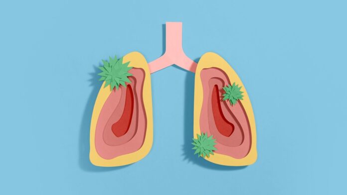 3670139e-b8ac-4ca7-b3f5-31b1c6ed1f33