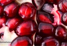 Гранати: Розділяючи Здоровий Ажіотаж від Реальності