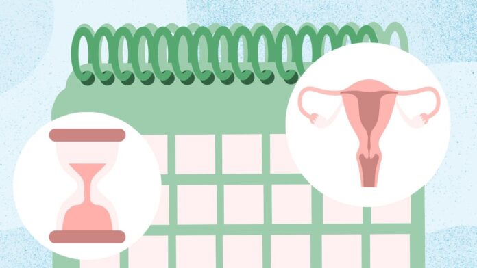 510c39ec-34e0-4bf5-946c-e5c4e7bbc612