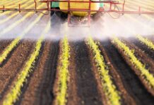 Гліфосат: Що вам потрібно знати про цей суперечливий гербіцид