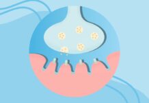 Sindrome miastenica di Lambert-Eaton: una panoramica concisa