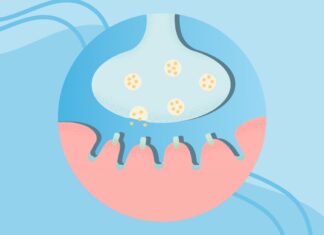 Синдром Ламберта-Ітона: Короткий огляд