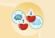 Понимание синдрома гиповентиляции при ожирении (СГО): риски, симптомы и методы лечения