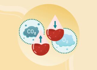 Понимание синдрома гиповентиляции при ожирении (СГО): риски, симптомы и методы лечения