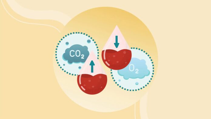 51e7ec6f-1ceb-432e-a764-ddc0e15c463e