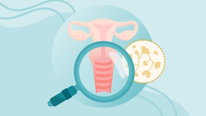 ef4d9fbf-1f2b-4a9b-b7b8-05b7728badf8